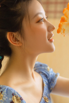 秘密女搜查官系列